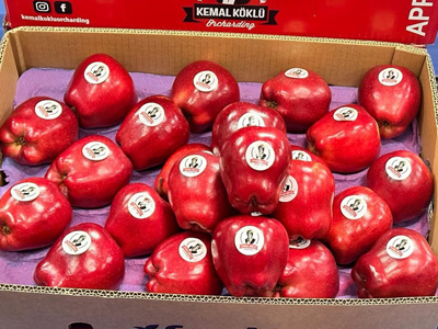 Fresh Apples