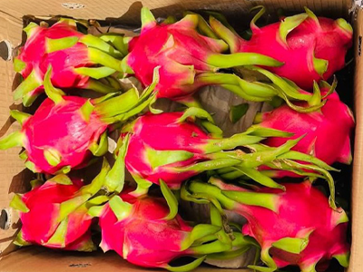 Dragon Fruits