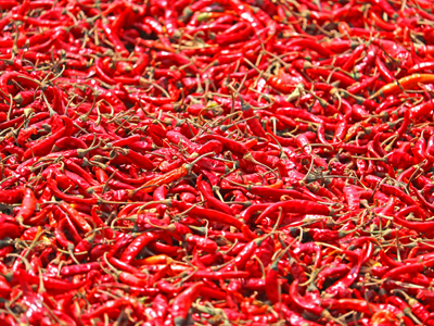 Red Chillies