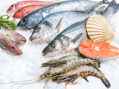 Sea Food